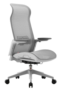 ESTI ERGONOMIC CHAIR (GRAY)