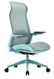 ESTI ERGONOMIC CHAIR (BLUE)