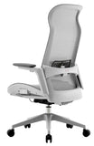 ESTI ERGONOMIC CHAIR (GRAY)