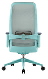 ESTI ERGONOMIC CHAIR (BLUE)